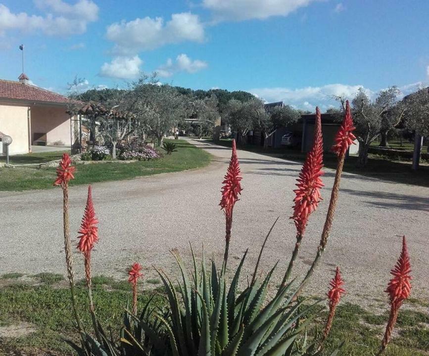 Agriturismo Sa Ruda Cabras Exterior photo