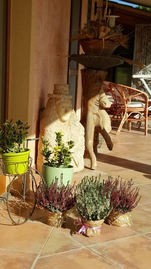 Agriturismo Sa Ruda Cabras Exterior photo